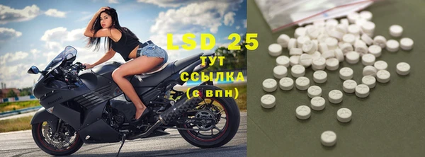 стаф Абаза