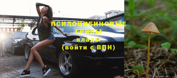 стаф Абаза