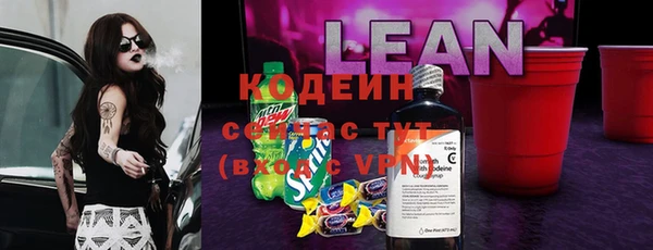 стаф Абаза