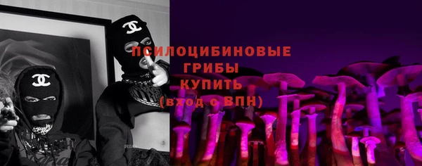 стаф Абаза
