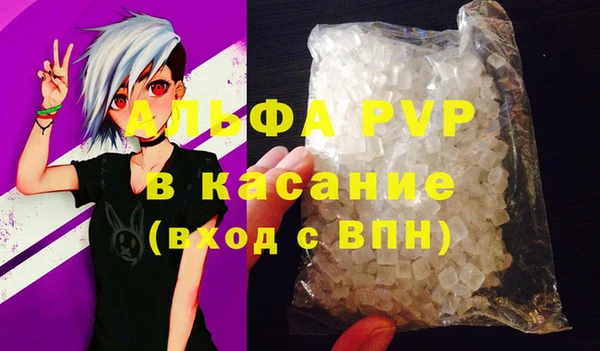 стаф Абаза