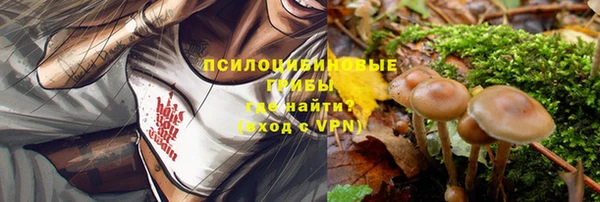 ПСИЛОЦИБИНОВЫЕ ГРИБЫ Семёнов