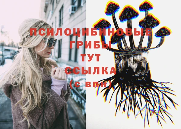 молекула духа Абинск