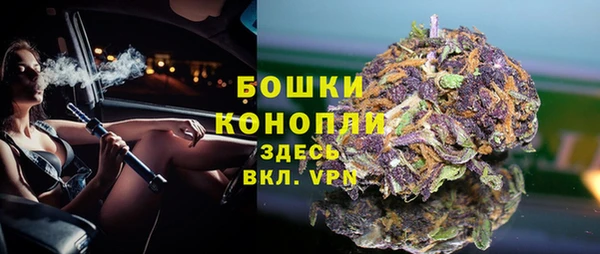 ПСИЛОЦИБИНОВЫЕ ГРИБЫ Семёнов