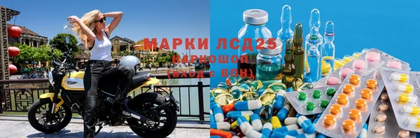 стаф Абаза
