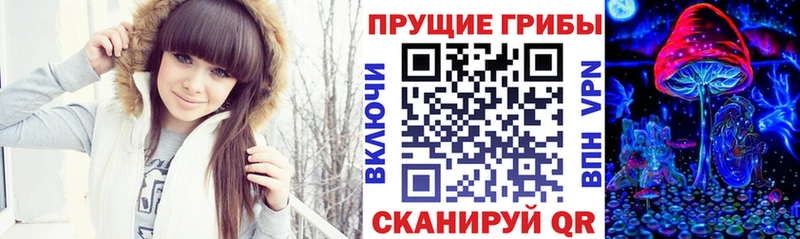 где купить наркоту  Верхоянск  Галлюциногенные грибы Cubensis 